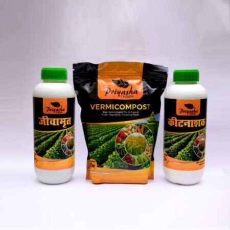 Priyasha Organic Jivanamrut - Image 3